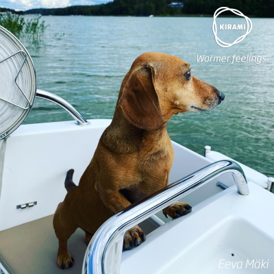 Hunden Onni som njuter av vatten | Kirami - Warmer feelings